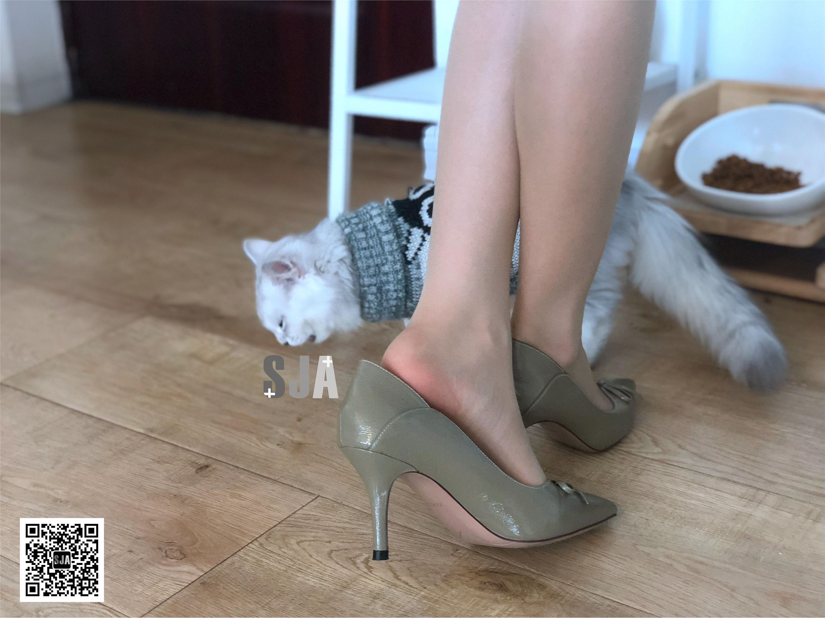 SJA佳爷 闺蜜视角 NO.013 喵